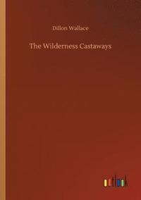 bokomslag Wilderness Castaways