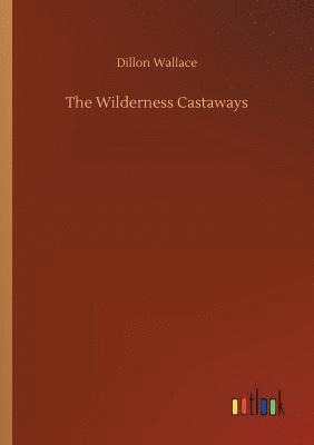 bokomslag Wilderness Castaways