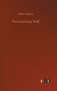 bokomslag Gaunt Gray Wolf