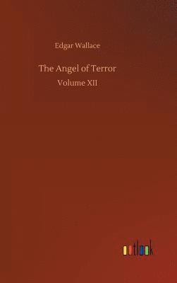 bokomslag Angel of Terror