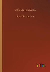 bokomslag Socialism as it is