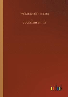 bokomslag Socialism as it is