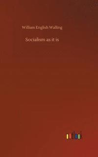 bokomslag Socialism as it is