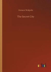 bokomslag Secret City