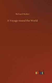 bokomslag Voyage round the World