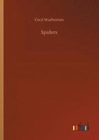 bokomslag Spiders
