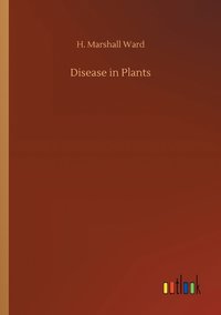 bokomslag Disease in Plants