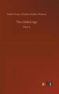 bokomslag Gilded Age