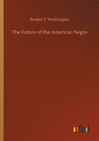 bokomslag Future of the American Negro