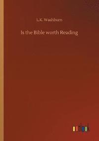 bokomslag Is the Bible worth Reading