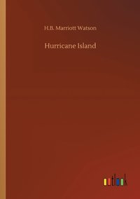 bokomslag Hurricane Island