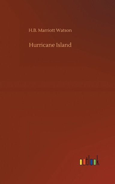 bokomslag Hurricane Island