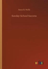 bokomslag Sunday-School Success