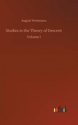 bokomslag Studies in the Theory of Descent