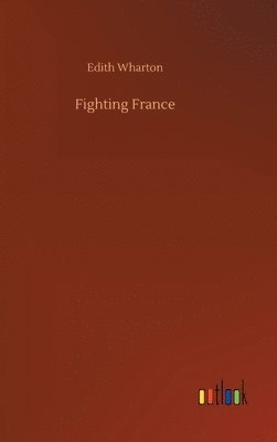 bokomslag Fighting France