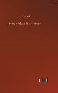 bokomslag Story of the Bible Animals