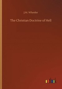 bokomslag The Christian Doctrine of Hell