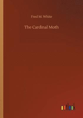 Cardinal Moth