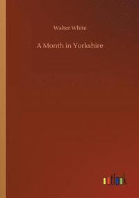 bokomslag A Month in Yorkshire