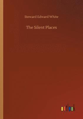 bokomslag Silent Places