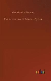 bokomslag The Adventure of Princess Sylvia