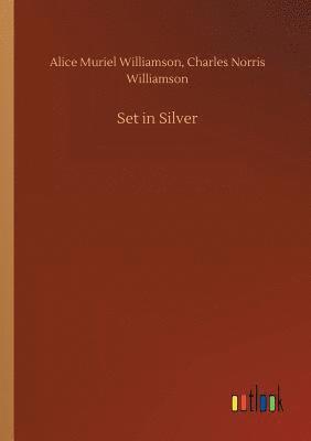 bokomslag Set in Silver