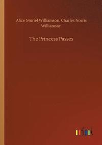 bokomslag The Princess Passes