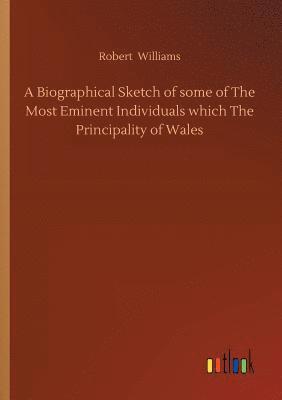 bokomslag A Biographical Sketch of some of The Most Eminent Individuals which The Principality of Wales