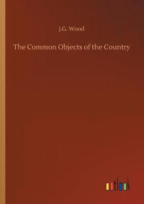 Common Objects of the Country