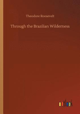 Through the Brazilian Wilderness