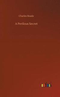 bokomslag A Perilous Secret