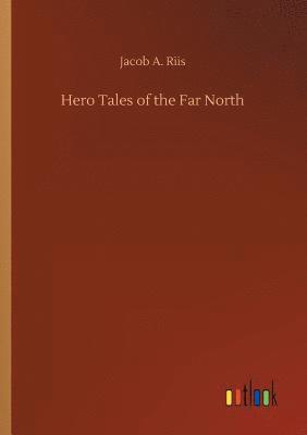 bokomslag Hero Tales of the Far North