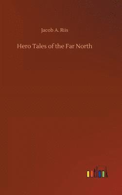 bokomslag Hero Tales of the Far North