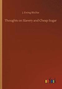 bokomslag Thoughts on Slavery and Cheap Sugar