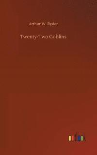 bokomslag Twenty-Two Goblins