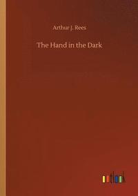 bokomslag Hand in the Dark
