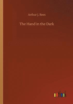 bokomslag Hand in the Dark
