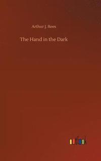 bokomslag Hand in the Dark