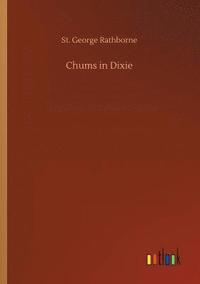 bokomslag Chums in Dixie