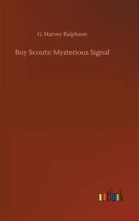 bokomslag Boy Scouts
