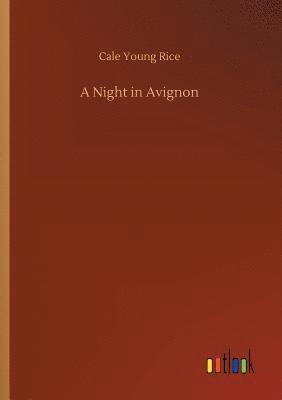 bokomslag Night in Avignon
