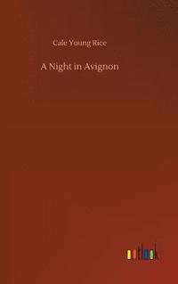 bokomslag Night in Avignon