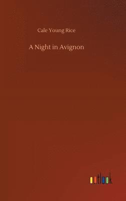 bokomslag Night in Avignon