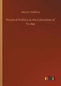 bokomslag Practical Politics or the Liberalism of To-day