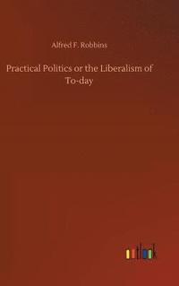 bokomslag Practical Politics or the Liberalism of To-day