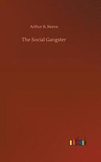 bokomslag Social Gangster