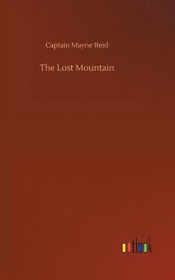 bokomslag Lost Mountain