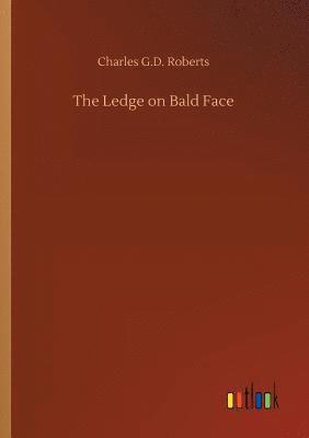 bokomslag Ledge on Bald Face