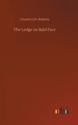 Ledge on Bald Face