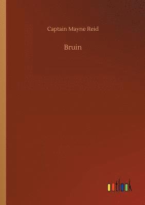 bokomslag Bruin